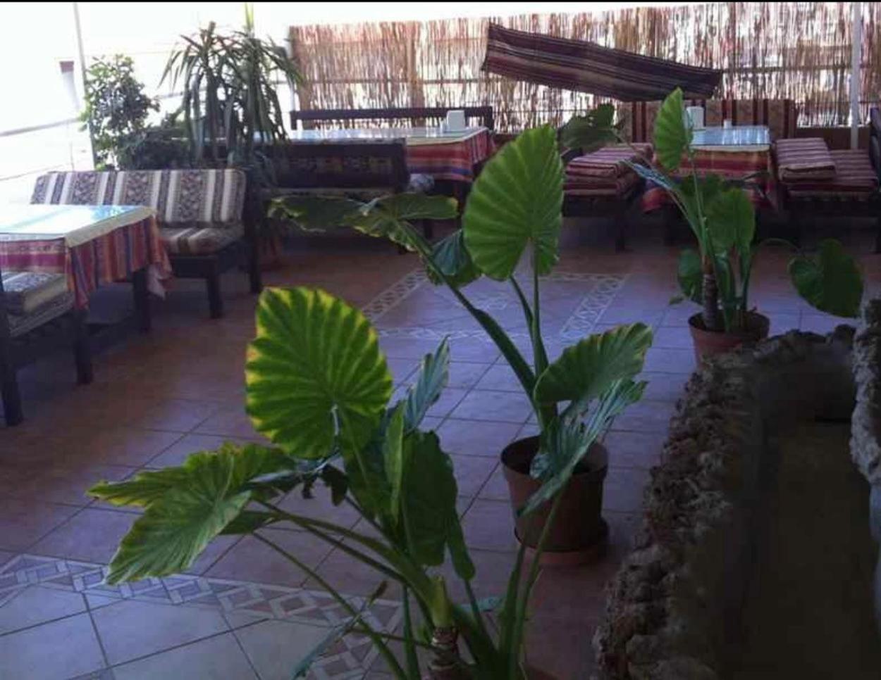 Denizhan Hotel Antalya Zewnętrze zdjęcie